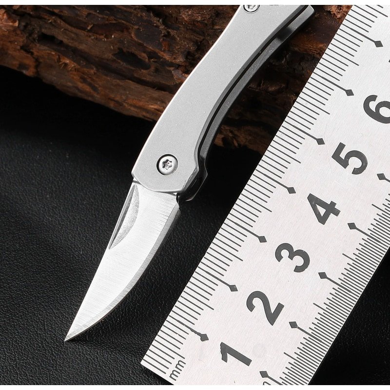 Outdoor Folding Knife with Silver Handle Outdoor Folding Knife with Silver Handle
