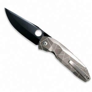 Spider C199 M390 Mirror DLC Blade Titanium Handle SF Express