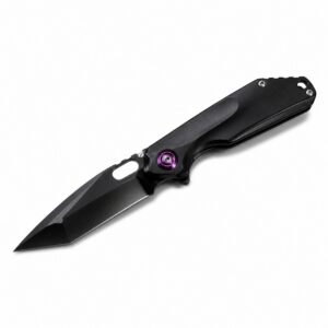Pioneer MSC DLC Blade M390 Titanium Alloy Handle SF Express