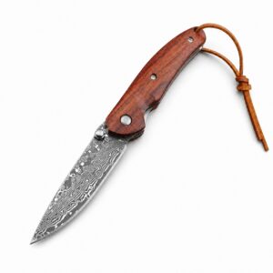 The Red Sparrow Damascus Is Small And The Small Is Broken Folding Knife